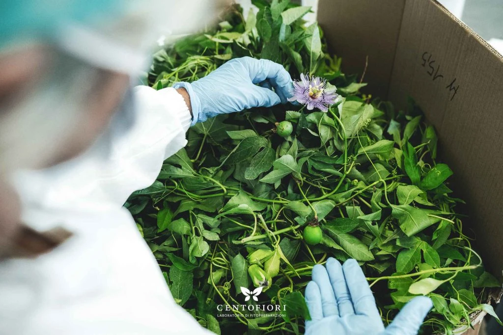 ESTRATTO IDROALCOLICO PASSIFLORA CENTOFIORI 50 ML 5 ESTRATTO IDROALCOLICO PASSIFLORA CENTOFIORI 50 ML - immagine 3