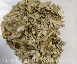 BETULLA FOGLIE BIO TT ( BETULA ALBA)