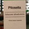 ESTRATTO IDROALCOLICO PILOSELLA CENTOFIORI 50 ML 2 ESTRATTO IDROALCOLICO PILOSELLA CENTOFIORI 50 ML -Naturalia Negozio IMG20250226095610