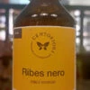 GEMMODERIVATO RIBES NIGRUM 100 ML CENTOFIORI