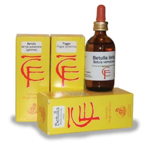 GEMMODERIVATO TILIA TOMENTOSA 50 ML CENTOFIORI 4 GEMMODERIVATO TILIA TOMENTOSA 50 ML CENTOFIORI - immagine 2