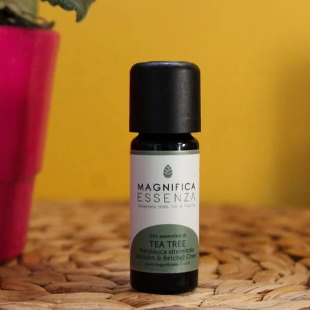 TEA TREE BIO 10 ML 3 TEA TREE BIO 10 ML